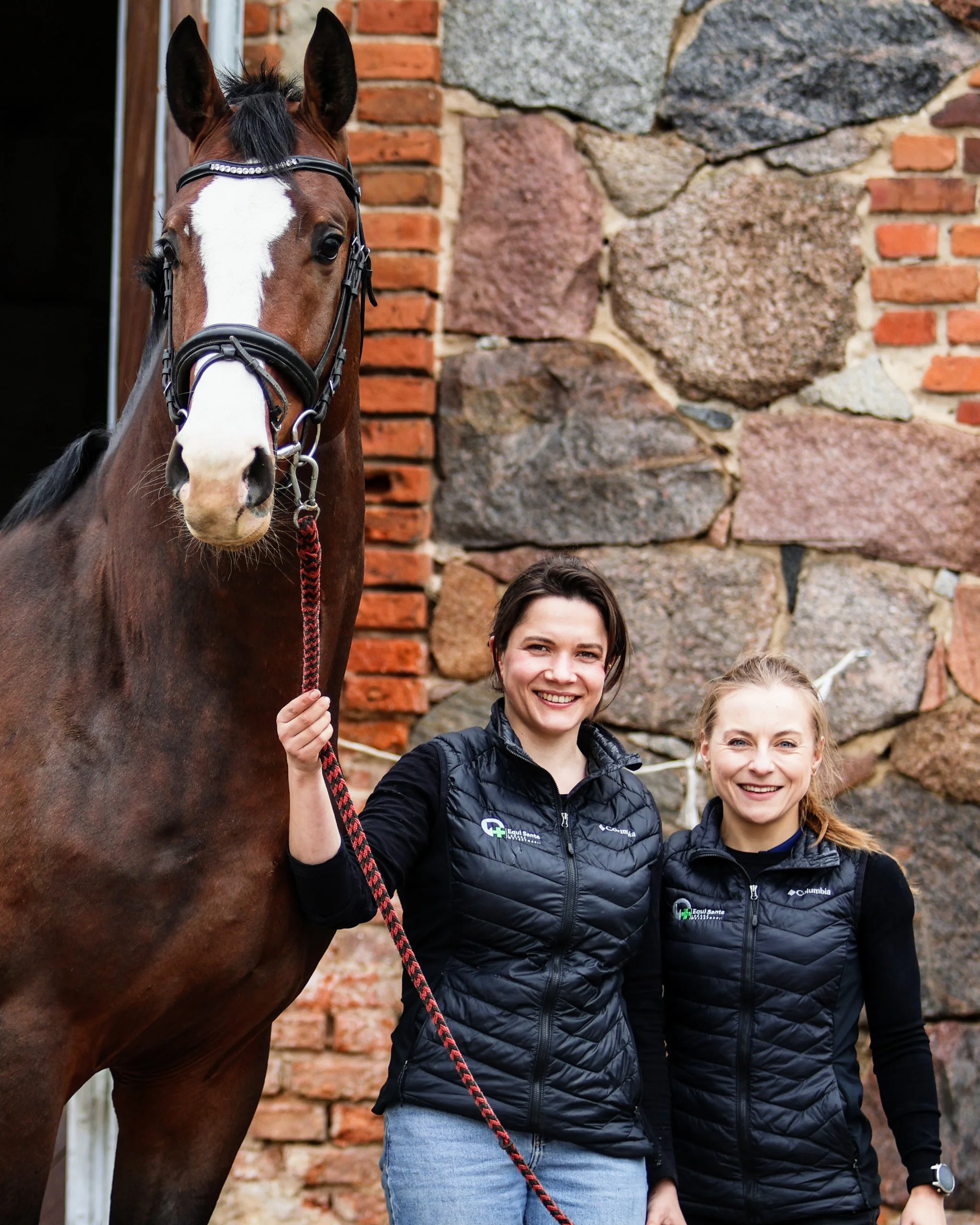 Zespół Equi Sante z gniadym koniem przy ceglanej ścianie stajni